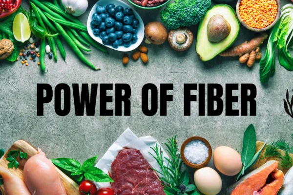 Power Of Fiber