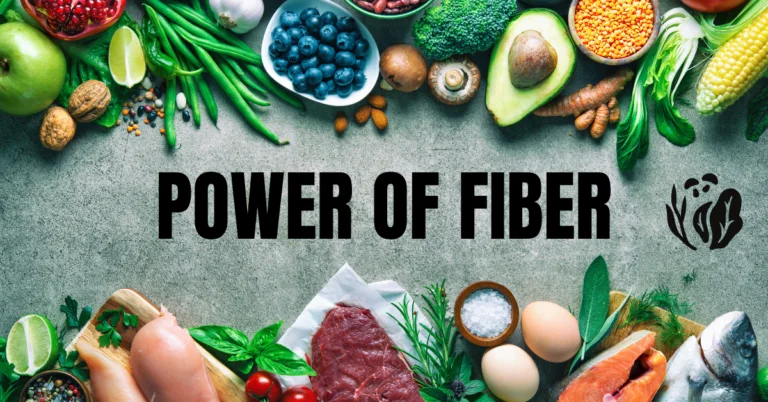 Power Of Fiber