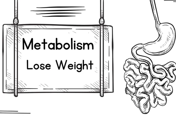 Lose Weight and understand metabolism