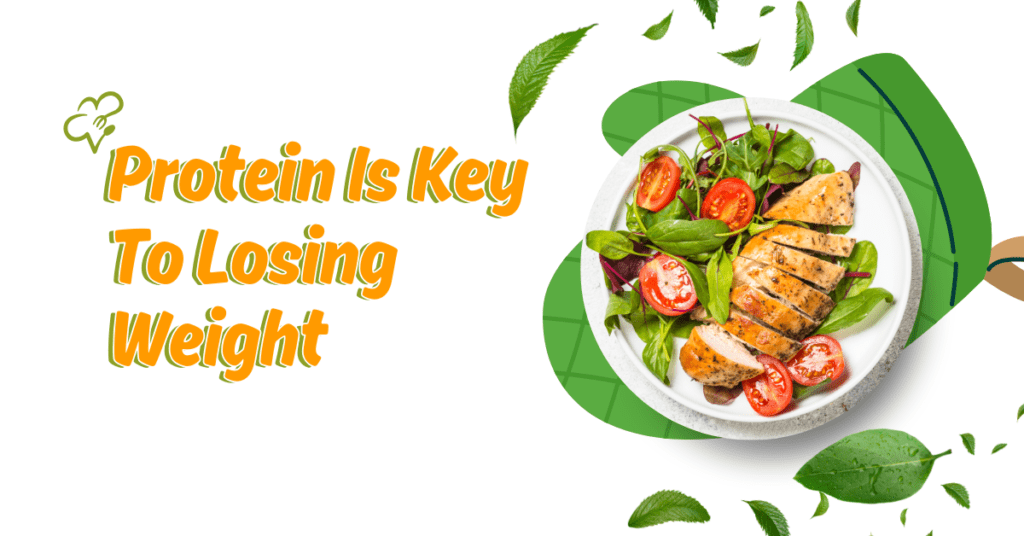 Why Protein Is Key To Losing Weight & Add To Your Diet